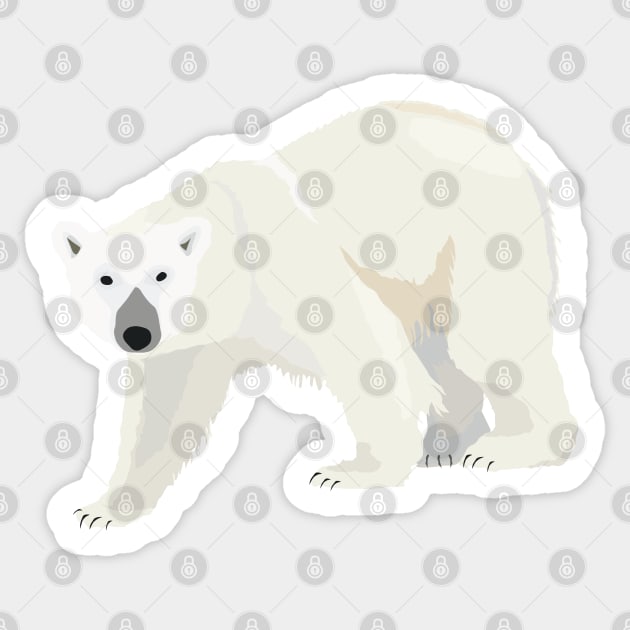 Polar Bear Sticker by helengarvey